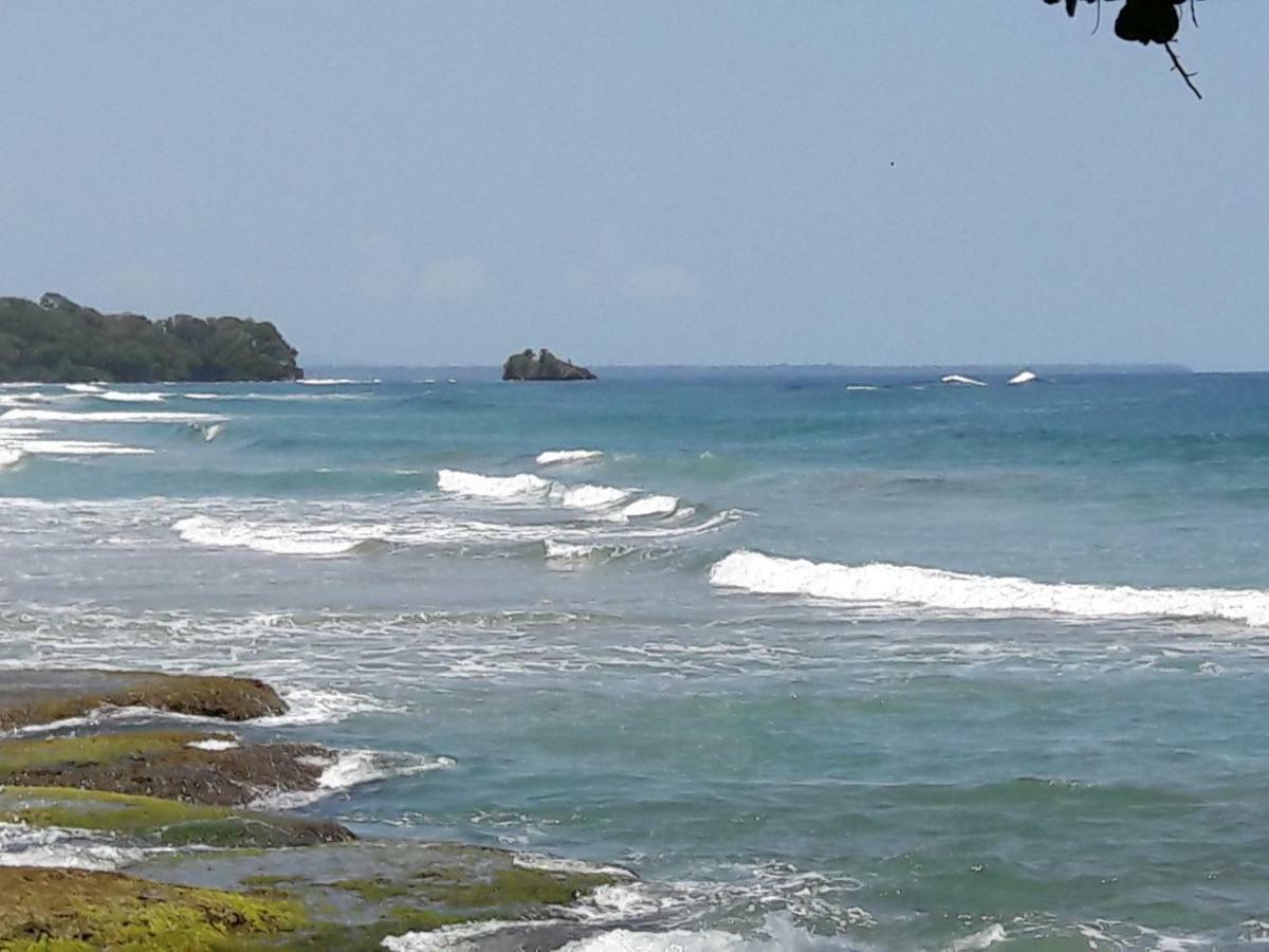 Hotel Casa Conley Del Mar Puerto Viejo de Talamanca ภายนอก รูปภาพ