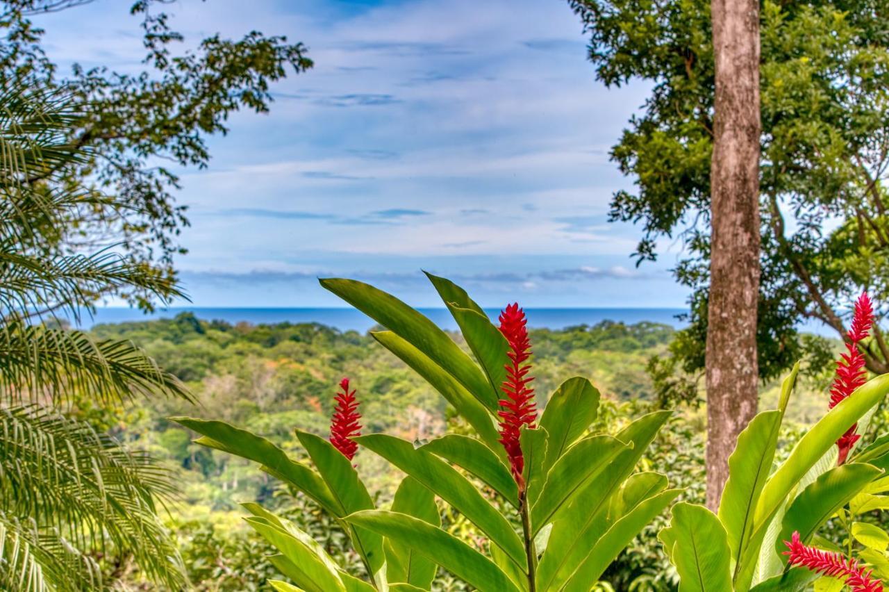 Hotel Casa Conley Del Mar Puerto Viejo de Talamanca ภายนอก รูปภาพ
