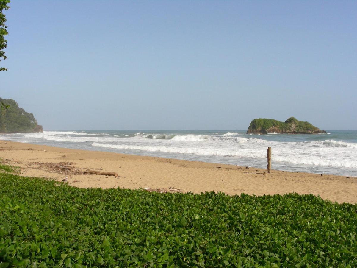 Hotel Casa Conley Del Mar Puerto Viejo de Talamanca ภายนอก รูปภาพ